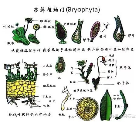 教程插图1