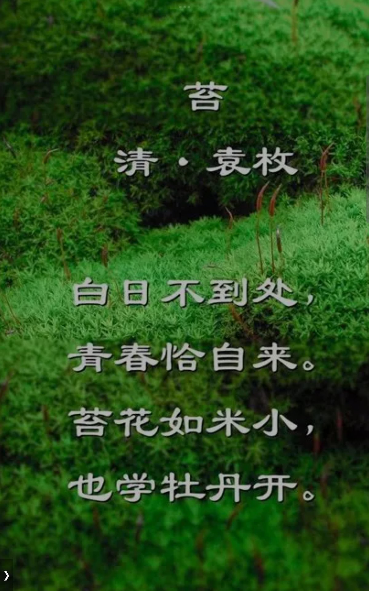 教程插图23