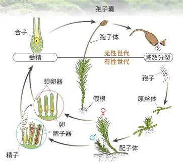教程插图2