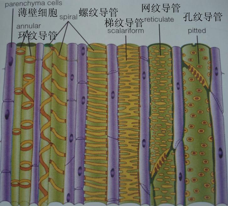 教程插图3