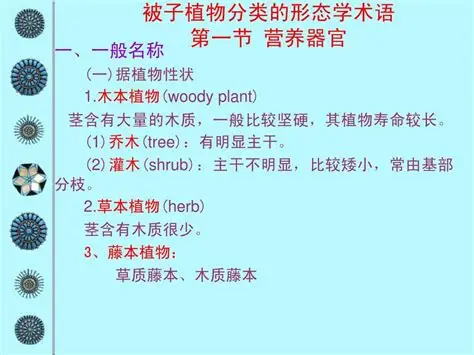 教程插图4