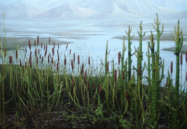 教程插图7